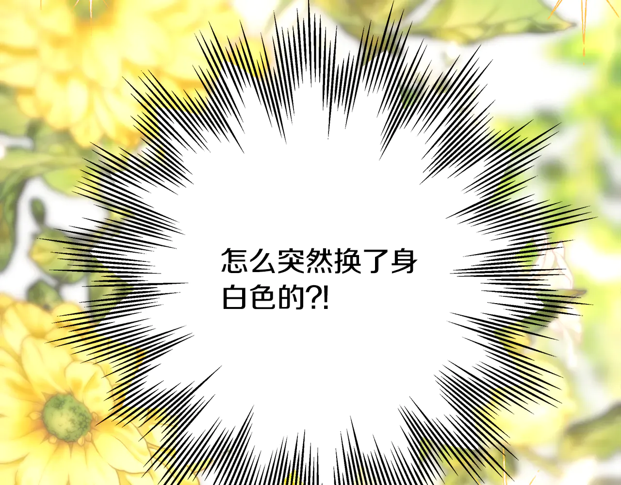 第221页