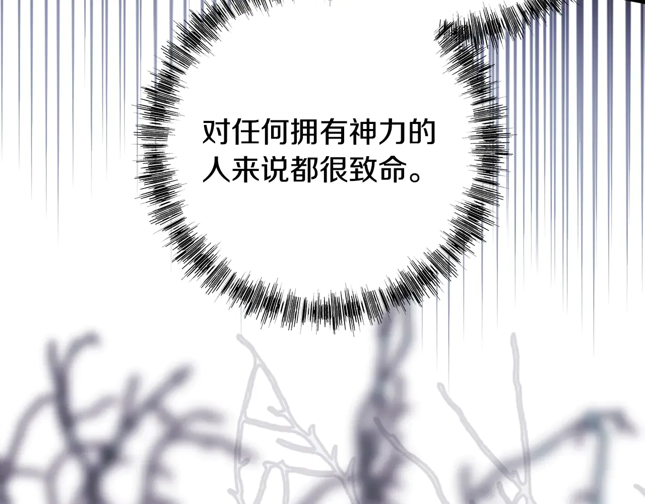 第239页