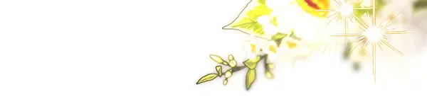 第191页