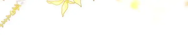 第229页