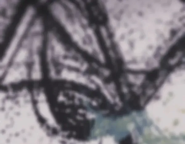 第238页