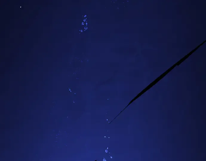 第137页