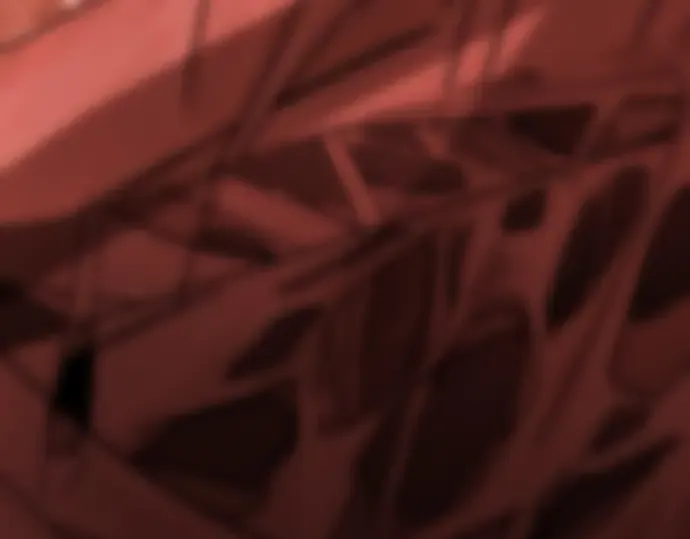 第542页