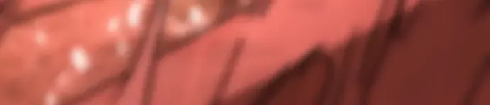 第541页
