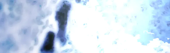 第228页