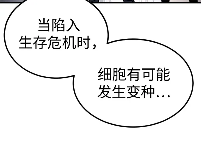 第247页