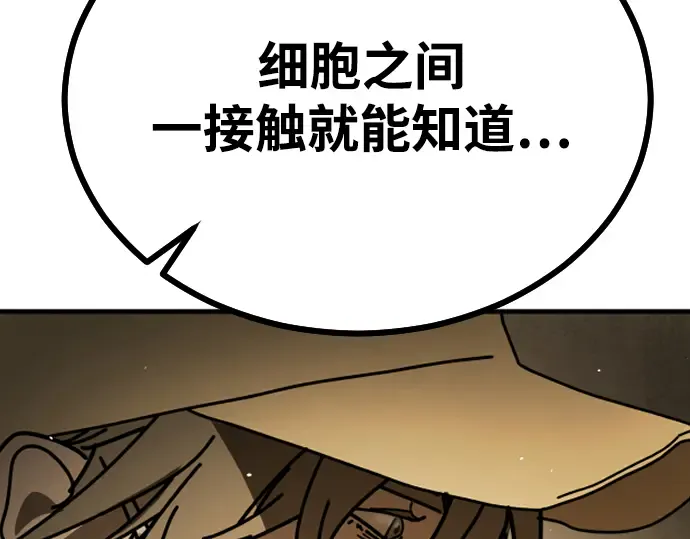 第260页