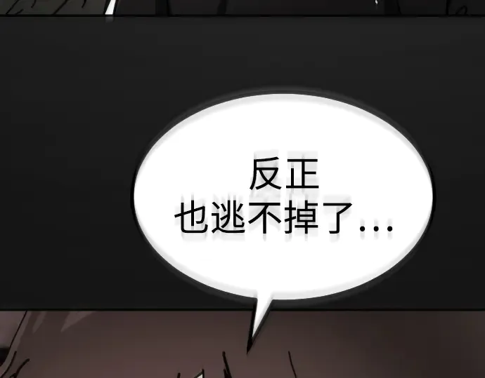 第229页