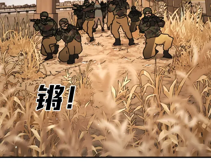 第238页