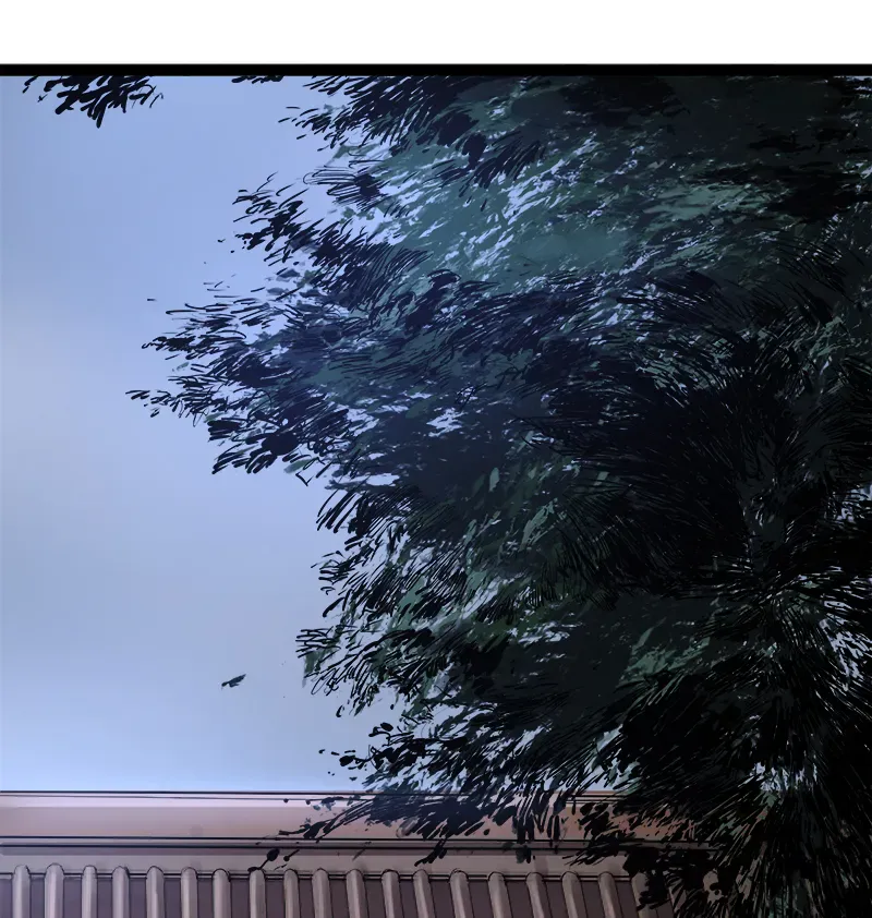 第294页