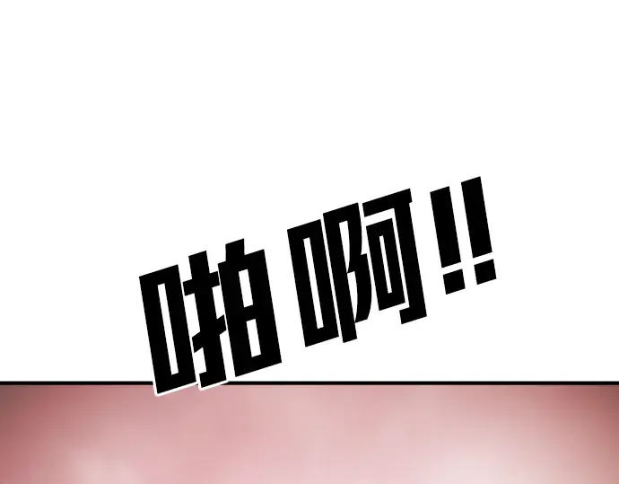 第223页