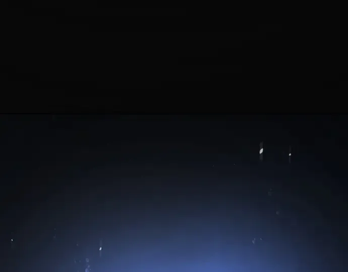 第241页