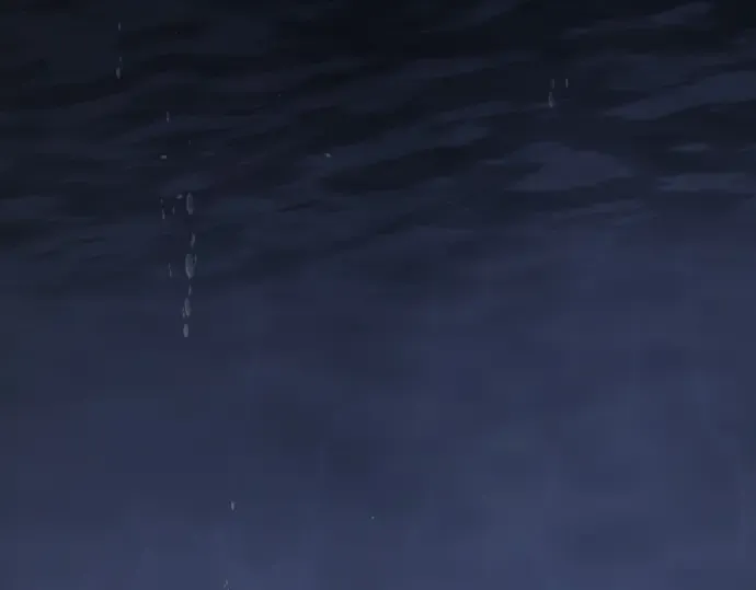 第224页
