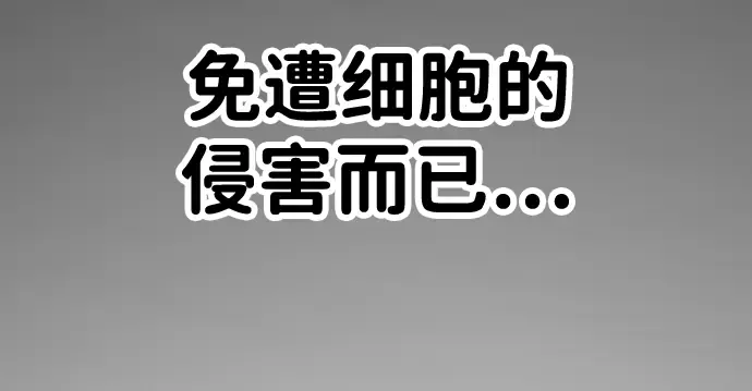 第260页