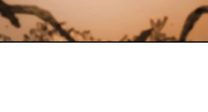 第409页