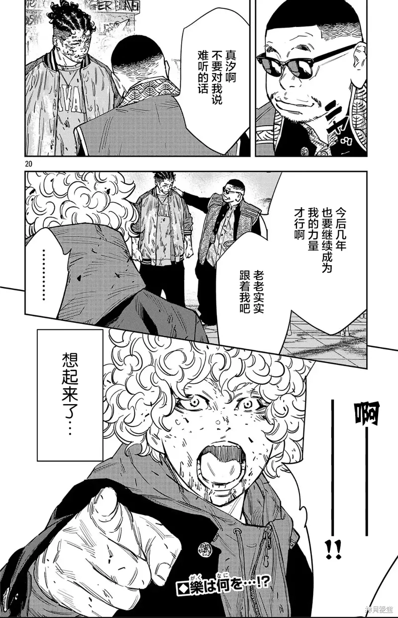 第20页