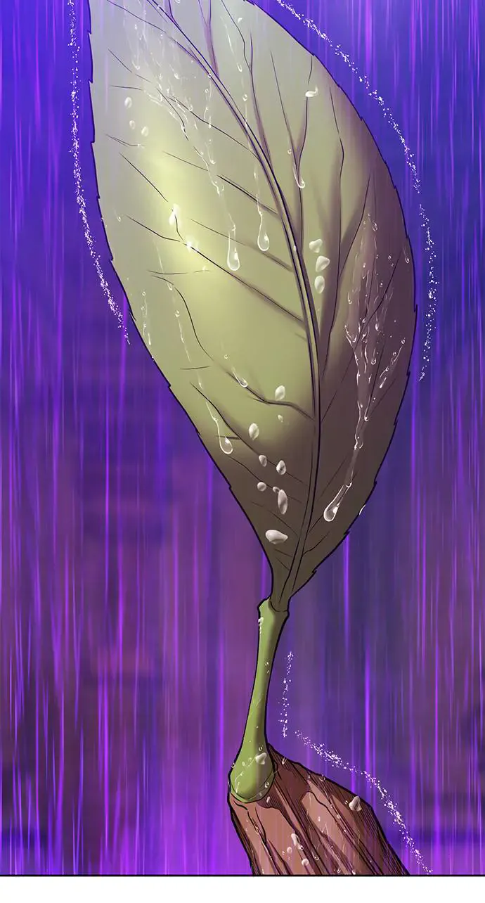 第291页