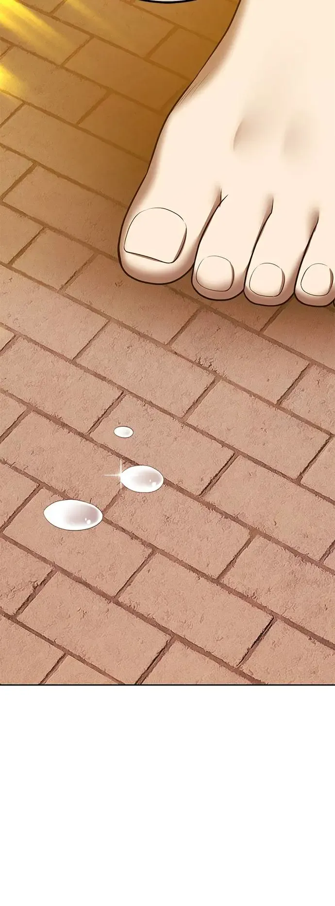第223页