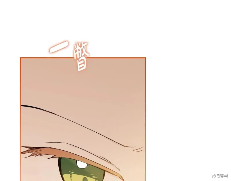 第233页
