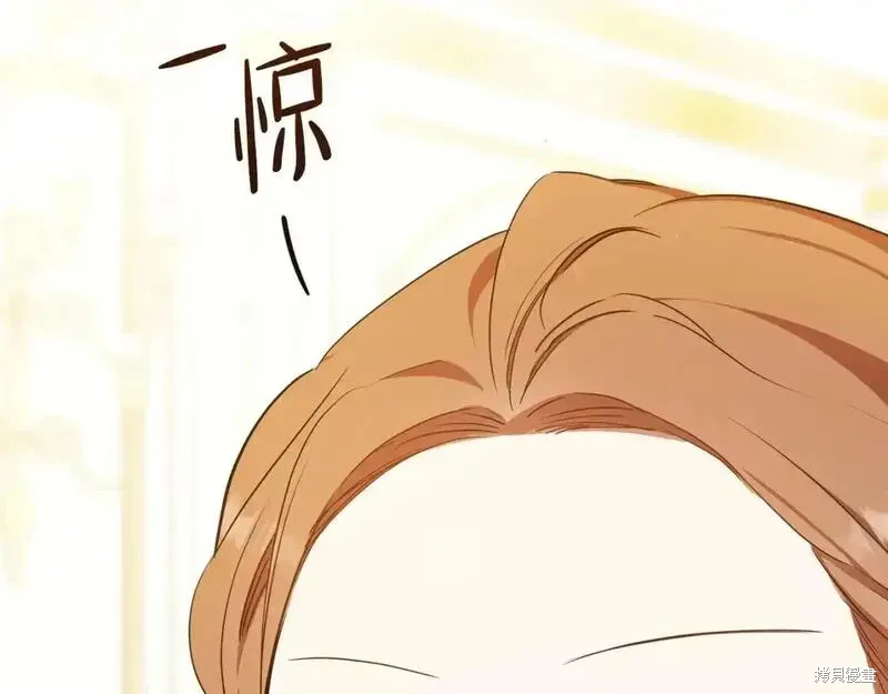 第233页