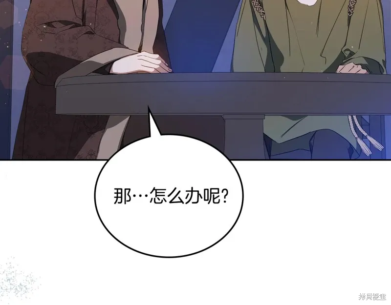 第204页