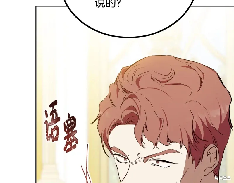 第217页