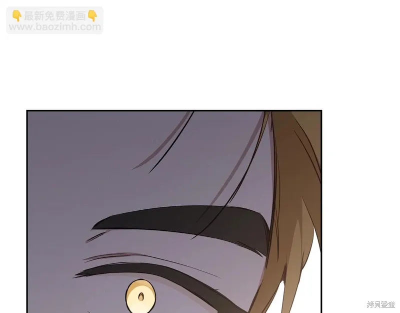 第223页