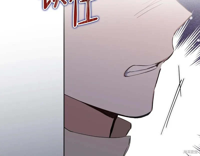 第260页