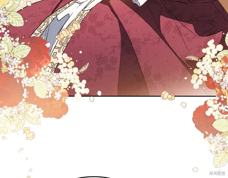 第221页