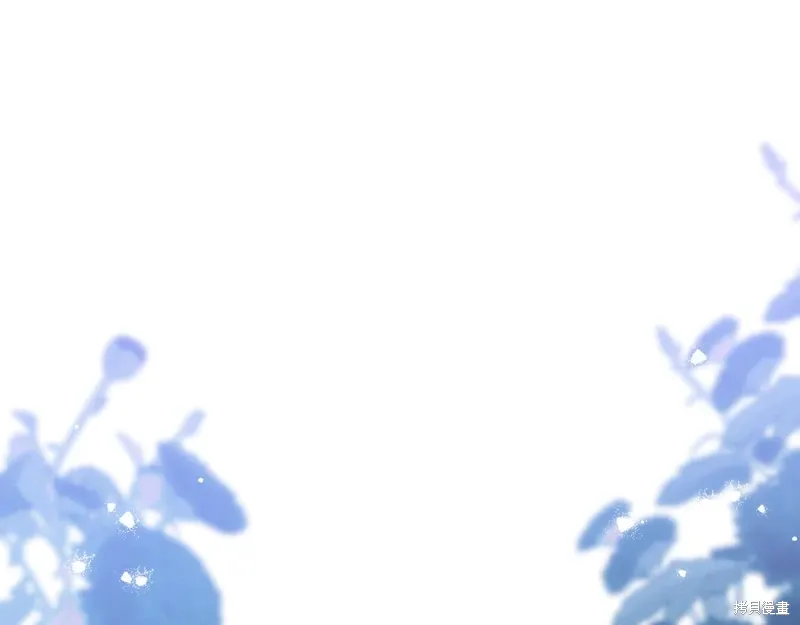 第258页