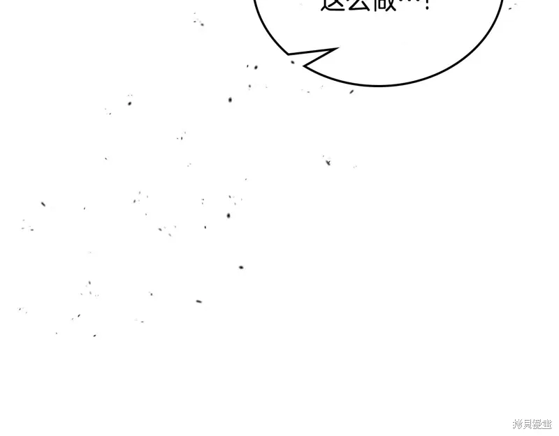 第251页