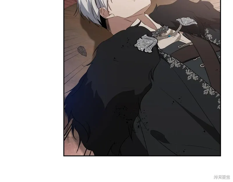 第207页