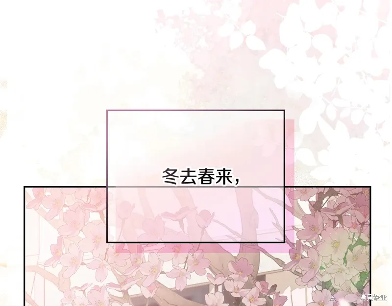 第238页
