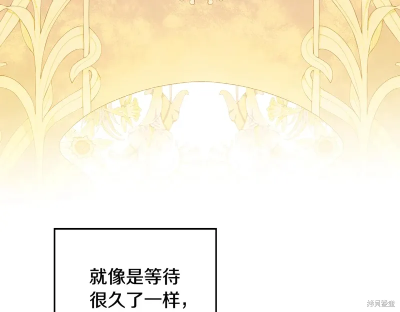 第243页