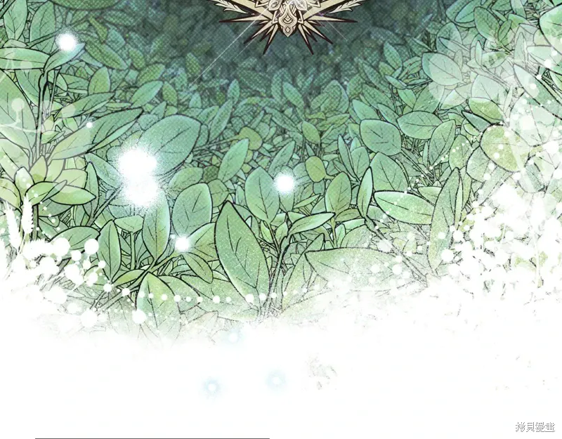 第207页