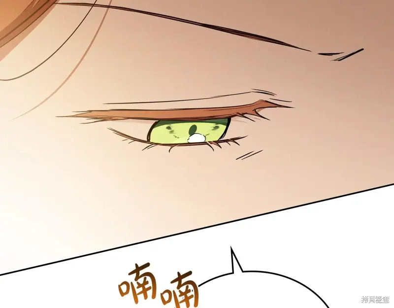 第197页