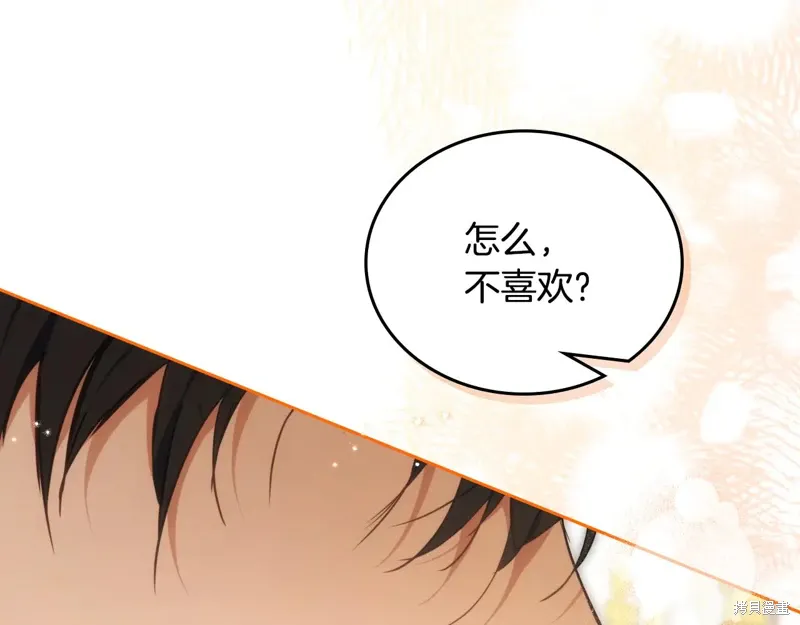 第242页