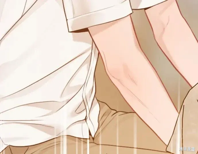 第241页