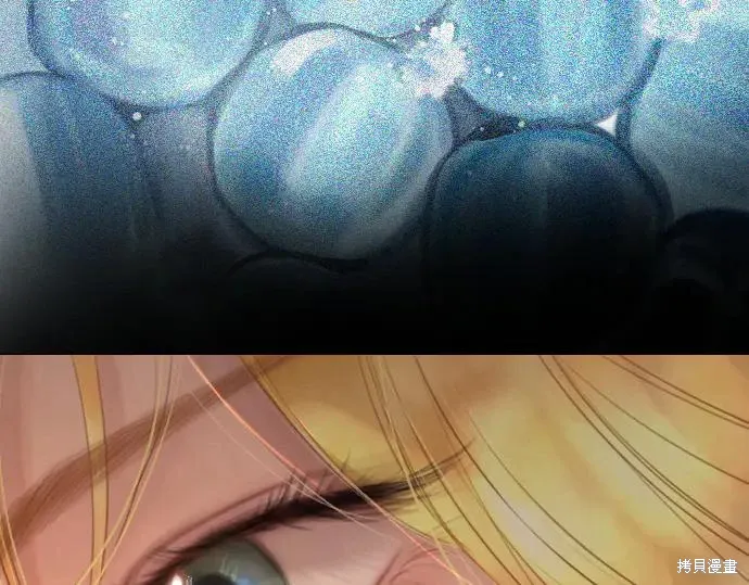第247页
