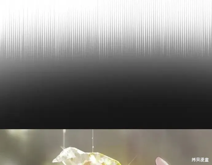 第253页