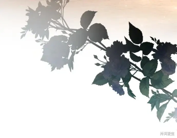第221页
