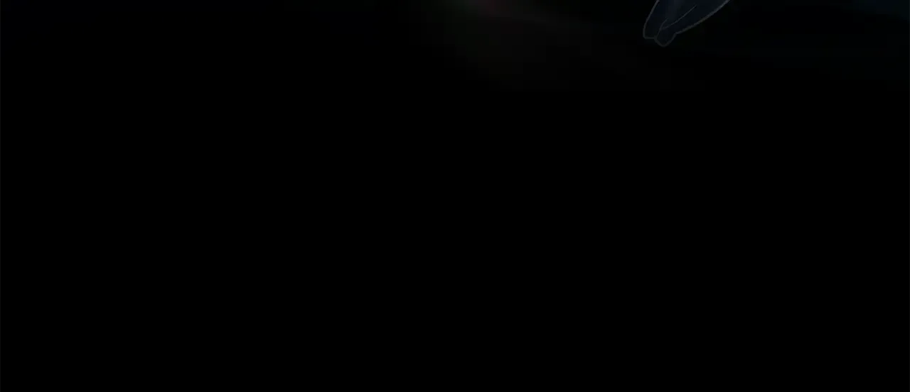 第197页