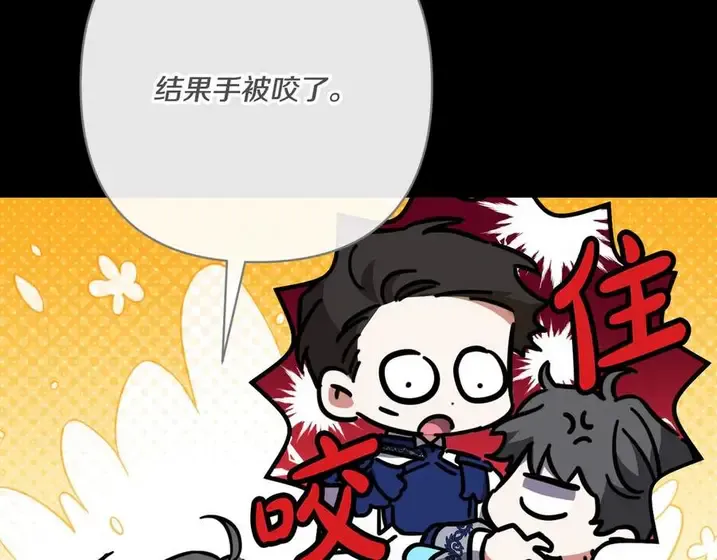 第203页