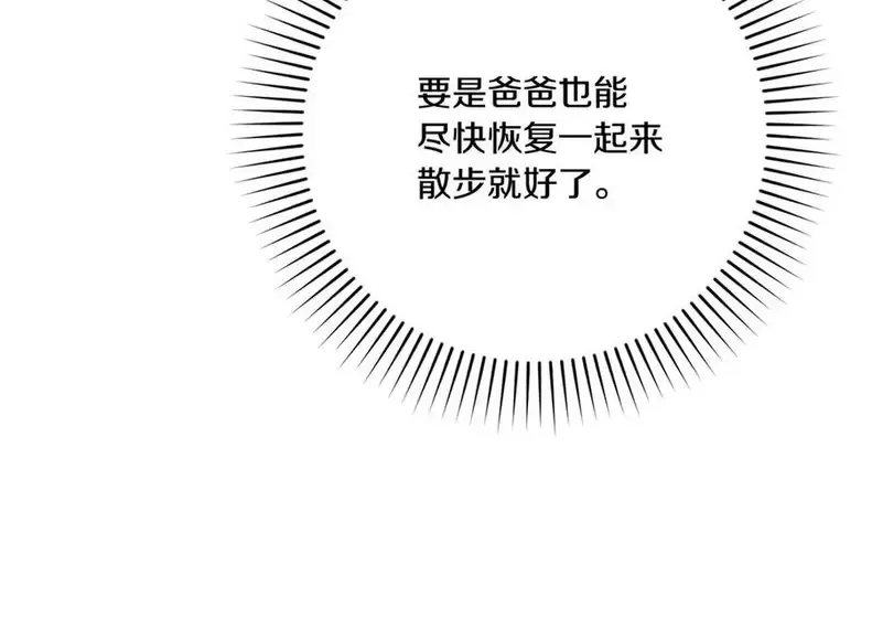 第242页