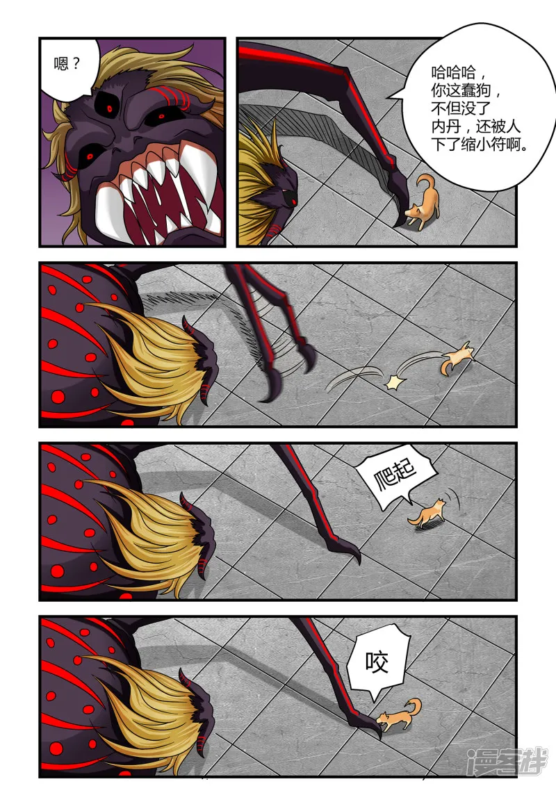 第5页