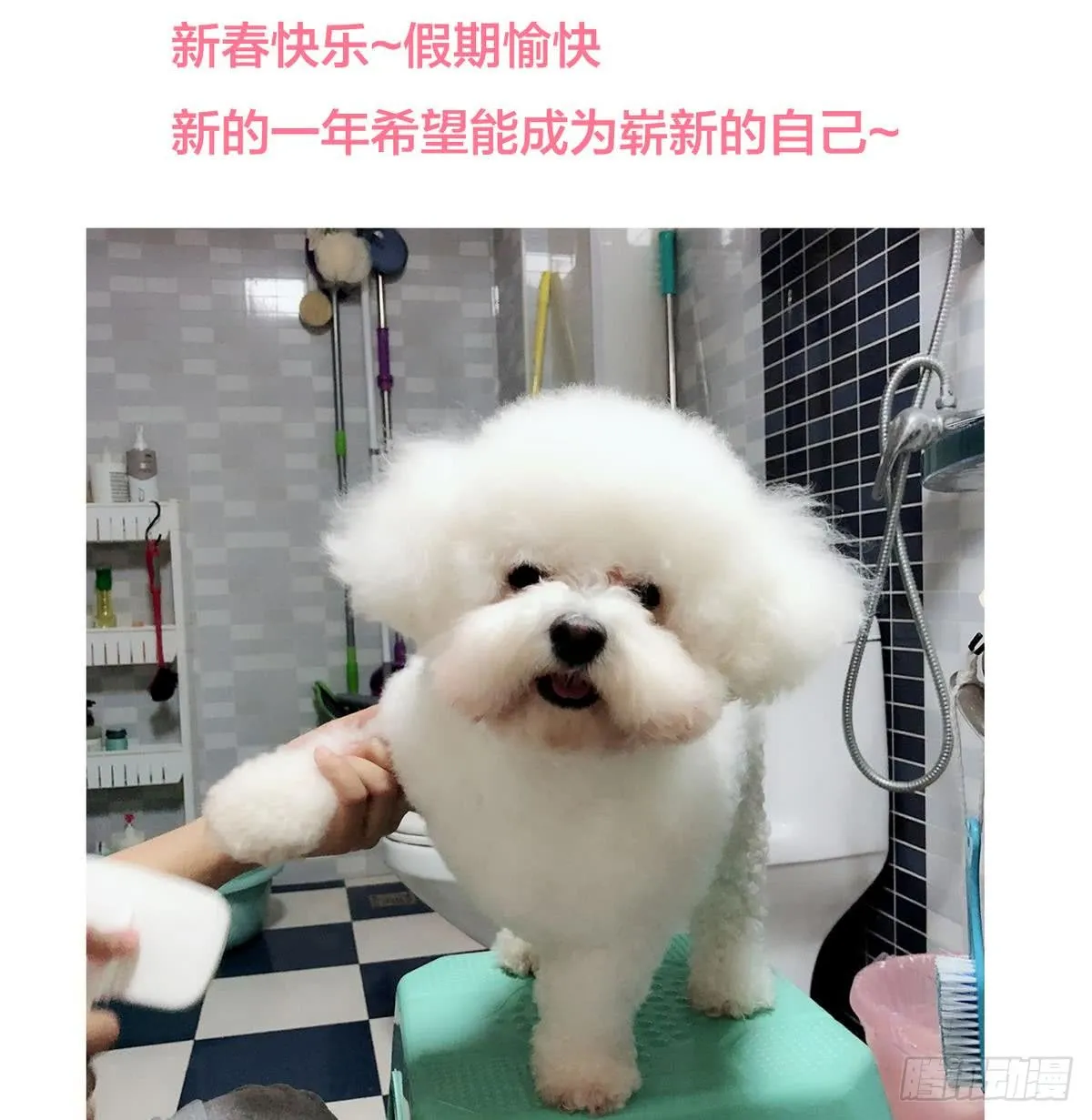 第46页