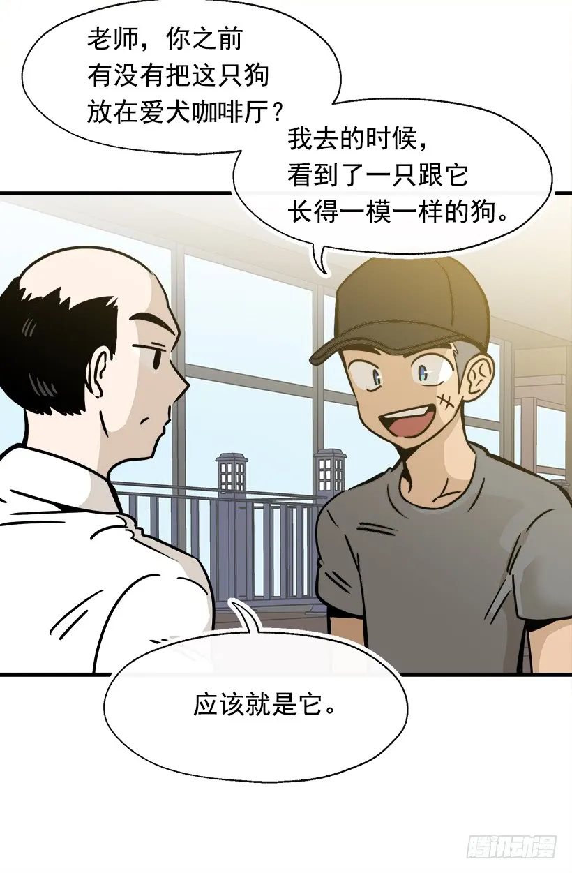 第50页