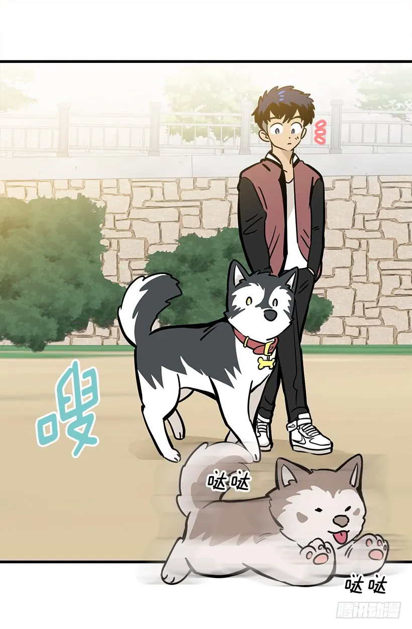 第51页