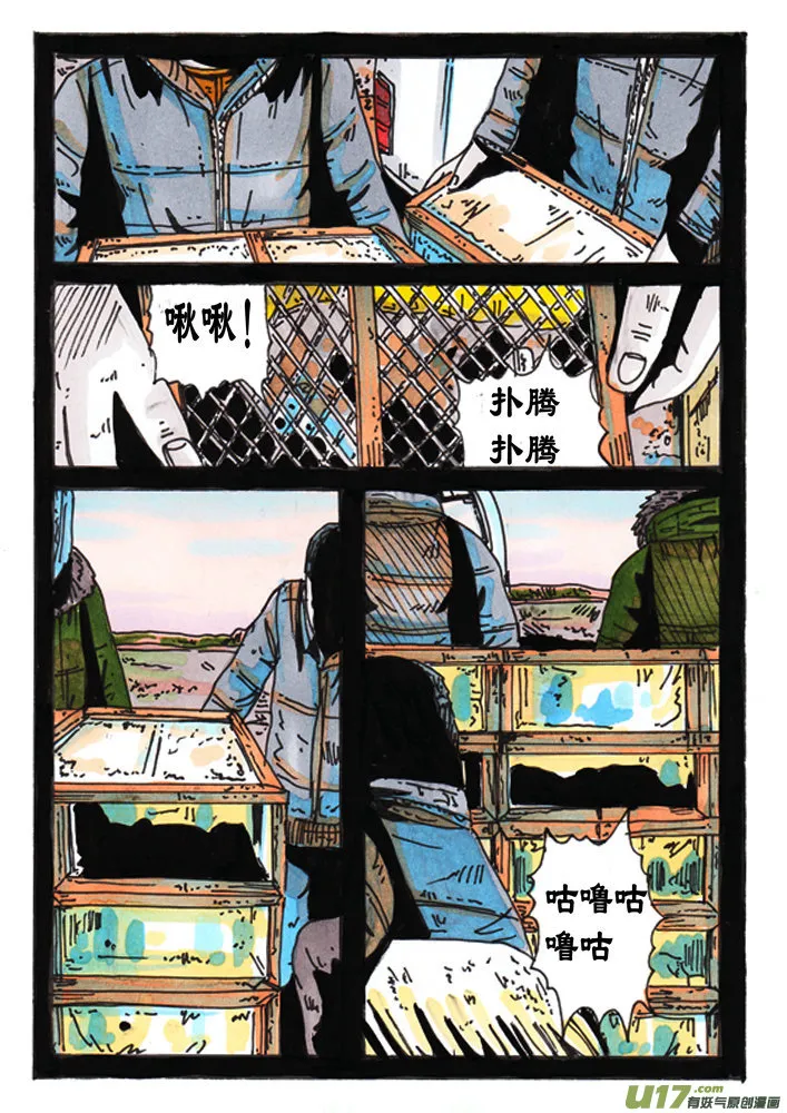 第3页