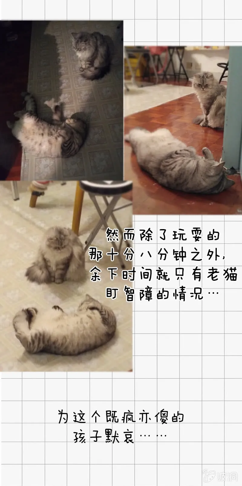 第45页